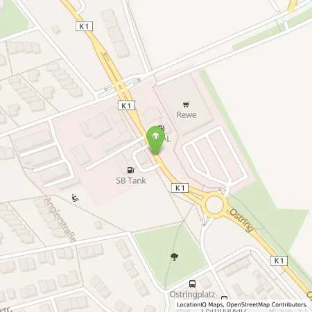 Standortübersicht der Tankstelle Aral Tankstelle in 67069 Ludwigshafen