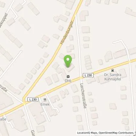 Standortübersicht der Tankstelle Ursula und Dirk Gwiszcz in 23611 Bad Schwartau