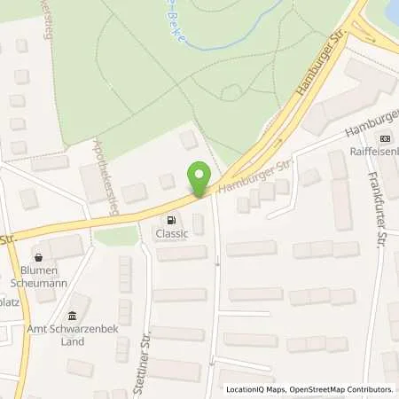 Standortübersicht der Tankstelle Schwarzenbek in 21493 Schwarzenbek