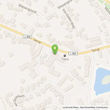 Standortübersicht der Tankstelle Tankstelle Treus in 48366 Laer