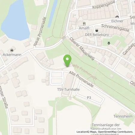 Standortübersicht der Tankstelle Stadtwerke Dinkelsbühl in 91550 Dinkelsbühl