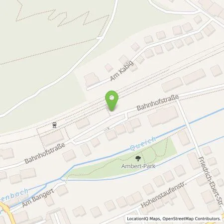 Standortübersicht der Tankstelle deer GmbH in 76855 Annweiler am Trifels