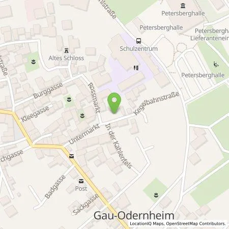 Standortübersicht der Tankstelle deer GmbH in 55239 Gau-Odernheim