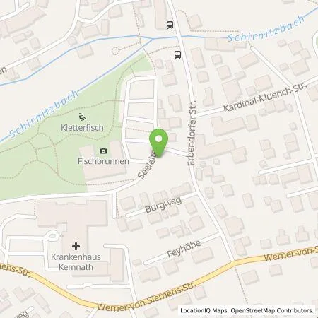 Standortübersicht der Tankstelle N-ERGIE Aktiengesellschaft in 95478 Kemnath