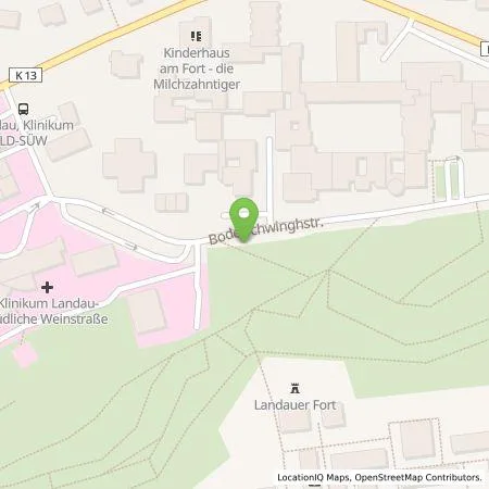 Standortübersicht der Tankstelle ESEL.CAB GmbH in 76829 Landau