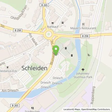 Standortübersicht der Tankstelle e-regio GmbH & Co. KG in 53937 Schleiden