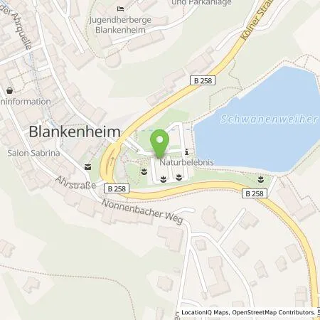 Standortübersicht der Tankstelle e-regio GmbH & Co. KG in 53945 Blankenheim