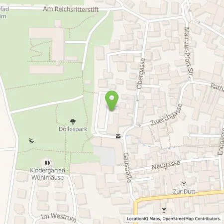 Standortübersicht der Tankstelle EWR AG in 55294 Bodenheim