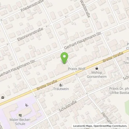 Standortübersicht der Tankstelle EWR AG in 55124 Mainz