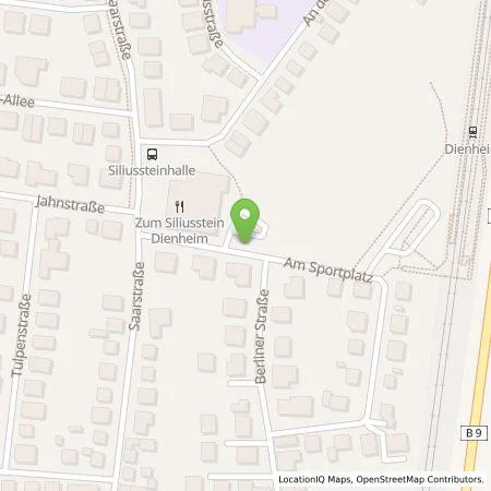 Standortübersicht der Tankstelle EWR AG in 55276 Dienheim