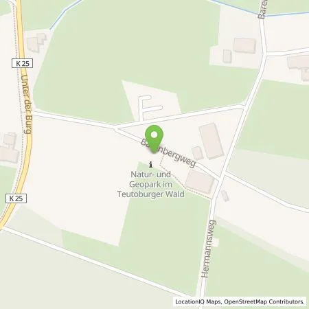 Standortübersicht der Tankstelle Westenergie Metering GmbH in 33829 Borgholzhausen