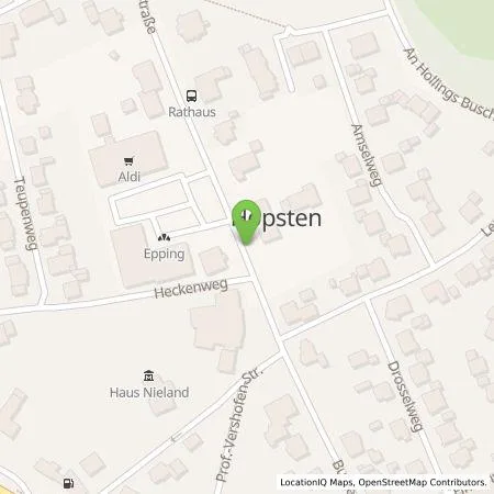 Standortübersicht der Tankstelle Westenergie Metering GmbH in 48496 Hopsten