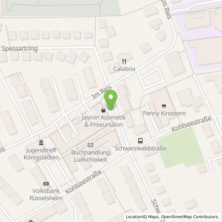 Standortübersicht der Tankstelle Energieservice Rhein-Main GmbH in 65428 Rüsselsheim am Main