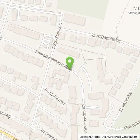 Standortübersicht der Tankstelle Energieservice Rhein-Main GmbH in 65428 Rüsselsheim am Main