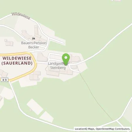 Standortübersicht der Tankstelle NaturHotel Wildewiese GmbHwww. in 59846 Sundern