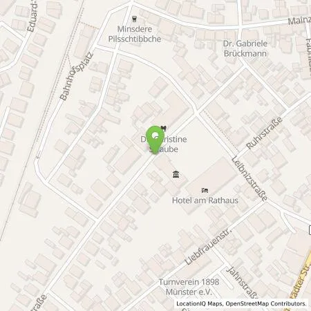 Standortübersicht der Tankstelle Entega Plus GmbH in 64839 Münster