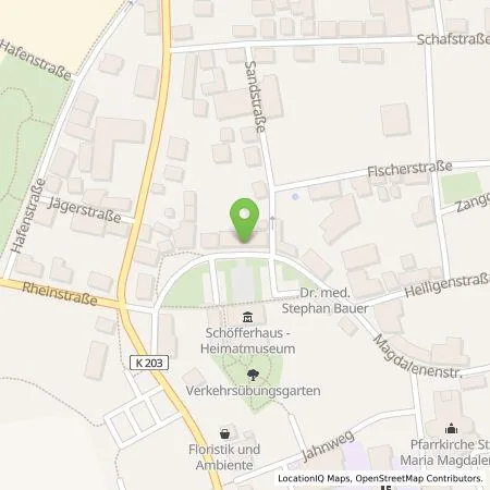 Standortübersicht der Tankstelle Entega Plus GmbH in 64579 Gernsheim