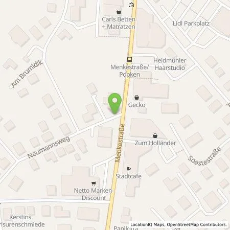 Standortübersicht der Tankstelle EWE Go GmbH in 26419 Schortens