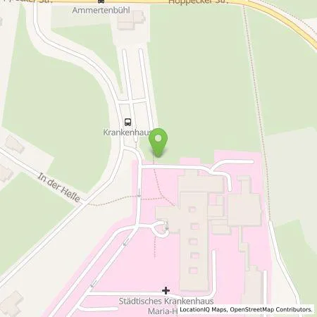 Standortübersicht der Tankstelle Westfalen Weser Ladeservice GmbH in 59929 Brilon