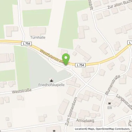 Standortübersicht der Tankstelle Westfalen Weser Ladeservice GmbH in 33181 Bad Wünnenberg