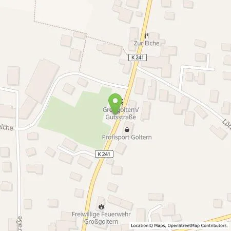 Standortübersicht der Tankstelle Westfalen Weser Ladeservice GmbH in 30890 Barsinghausen