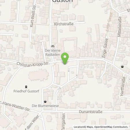 Standortübersicht der Tankstelle NEW Niederrhein Energie und Wasser GmbH in 41517 Grevenbroich