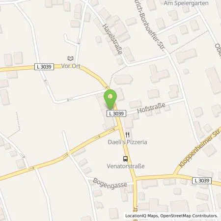 Standortübersicht der Tankstelle ESWE Versorgungs AG in 65191 Wiesbaden