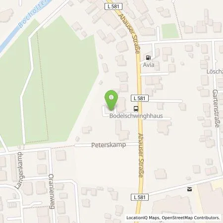 Standortübersicht der Tankstelle EMERGY Führungs- und Servicegesellschaft mbH in 46325 Borken