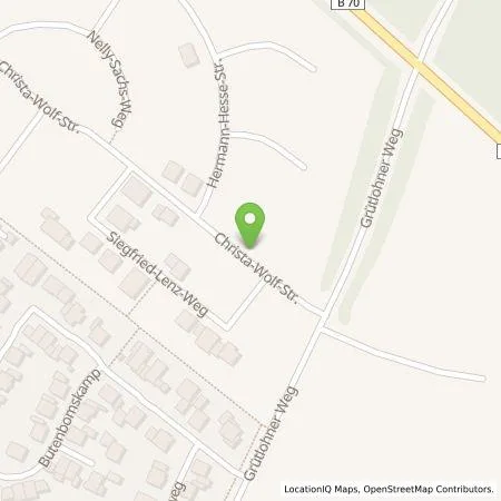 Standortübersicht der Tankstelle EMERGY Führungs- und Servicegesellschaft mbH in 46325 Borken