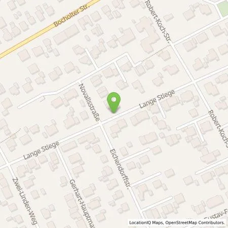 Standortübersicht der Tankstelle EMERGY Führungs- und Servicegesellschaft mbH in 46325 Borken