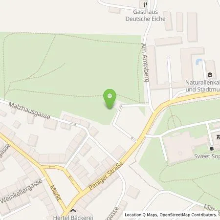 Standortübersicht der Tankstelle envia Mitteldeutsche Energie AG in 08396 Waldenburg