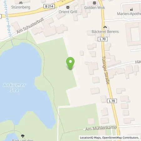 Standortübersicht der Tankstelle Wattif Europe GmbH in 49577 Ankum