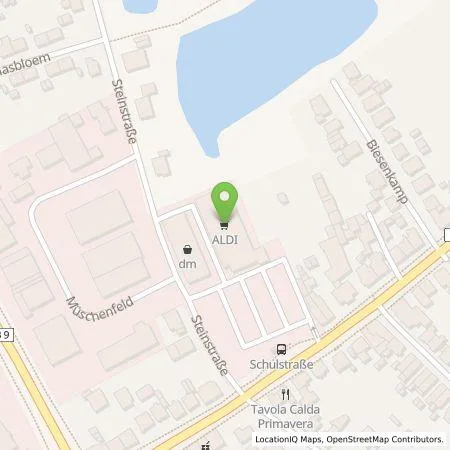 Standortübersicht der Tankstelle ALDI SÜD Immobilienverwaltungs-GmbH & Co. oHG in 47533 Kleve (Kellen)