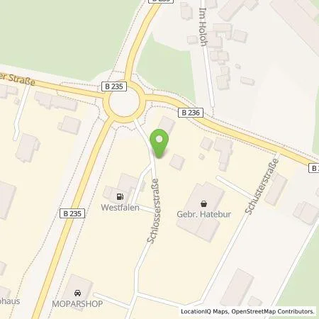 Standortübersicht der Tankstelle Westfalen AG in 59399 Olfen