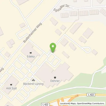 Standortübersicht der Tankstelle Citywatt GmbH in 55262 Ingelheim am Rhein