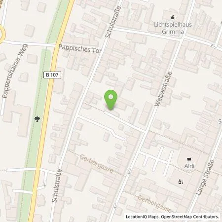 Standortübersicht der Tankstelle San-Tech Gebäudemanagement GmbH in 04668 Grimma