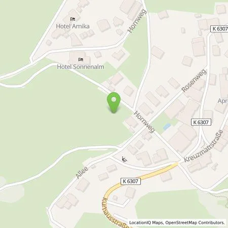 Standortübersicht der Tankstelle naturenergie hochrhein AG in 79674 Todtnauberg