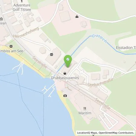 Standortübersicht der Tankstelle naturenergie hochrhein AG in 79822 Titisee-Neustadt