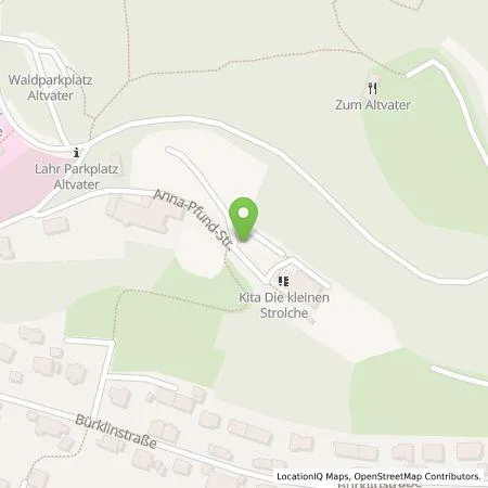 Standortübersicht der Tankstelle naturenergie hochrhein AG in 77933 Lahr