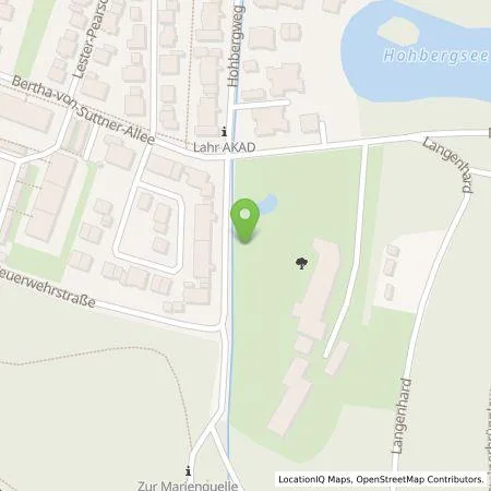 Standortübersicht der Tankstelle naturenergie hochrhein AG in 77933 Lahr