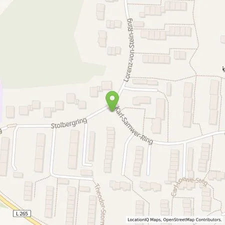 Standortübersicht der Tankstelle Stadtwerke SH GmbH & Co. KG in 24340 Eckernförde