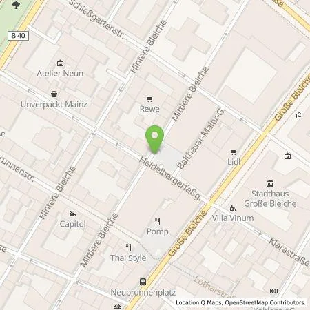 Standortübersicht der Tankstelle Mainzer Stadtwerke AG in 55116 Mainz