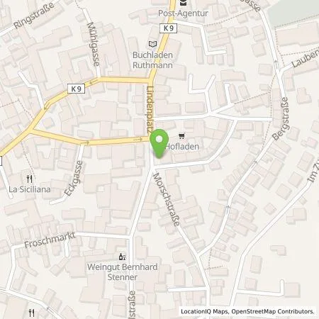 Standortübersicht der Tankstelle Mainzer Stadtwerke AG in 55129 Mainz