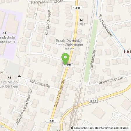 Standortübersicht der Tankstelle Mainzer Stadtwerke AG in 55130 Mainz