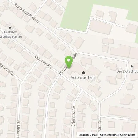 Standortübersicht der Tankstelle Mainzer Stadtwerke AG in 65468 Trebur