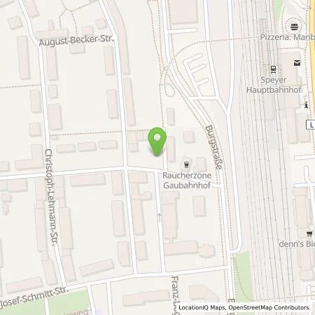 Standortübersicht der Tankstelle Verkehrsbetriebe Speyer GmbH in 67346 Speyer