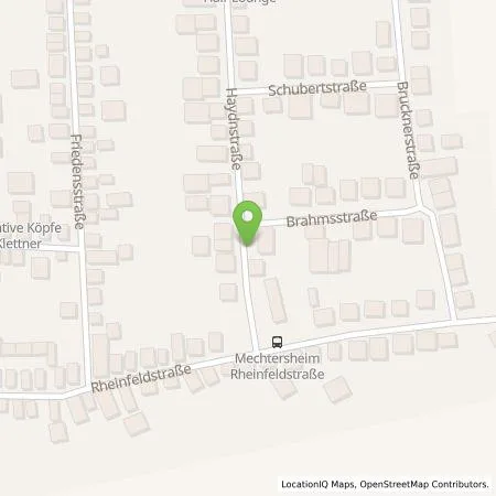 Standortübersicht der Tankstelle Verkehrsbetriebe Speyer GmbH in 67354 Römerberg