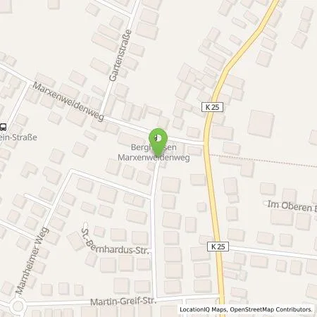 Standortübersicht der Tankstelle Verkehrsbetriebe Speyer GmbH in 67354 Römerberg