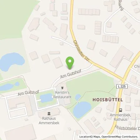 Standortübersicht der Tankstelle HanseWerk AG in 22949 Ammersbek