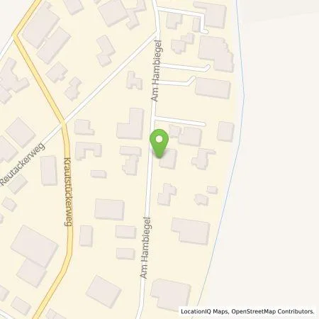 Standortübersicht der Tankstelle Energie- und Wasserversorgung Bruchsal GmbH in 76706 Dettenheim (Liedolsheim)